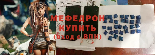 индика Кинешма