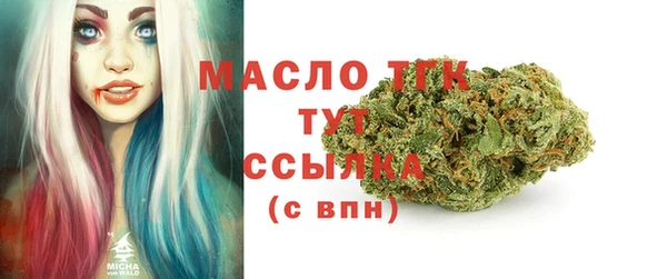 индика Кинешма
