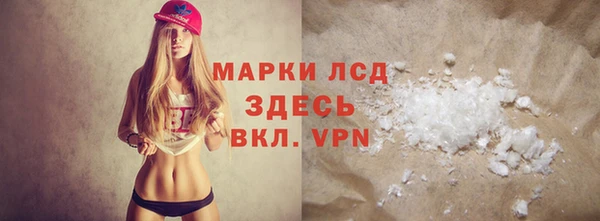 индика Кинешма