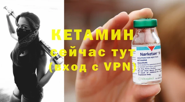 индика Кинешма