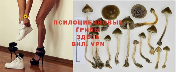 спиды Киреевск