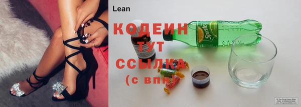 индика Кинешма