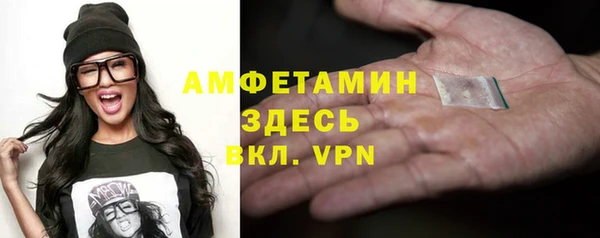 индика Кинешма