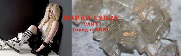 индика Кинешма