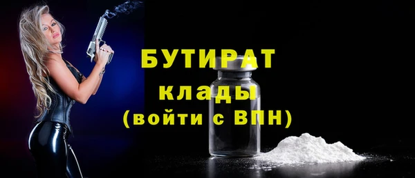 индика Кинешма