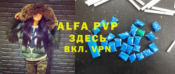 гашик Козловка