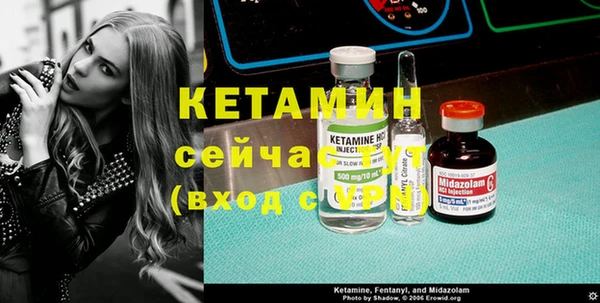 индика Кинешма