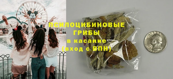 твердый Киренск