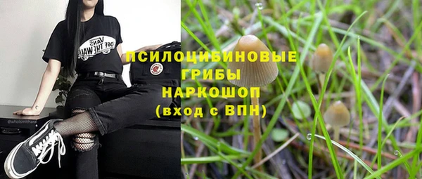 спиды Киреевск