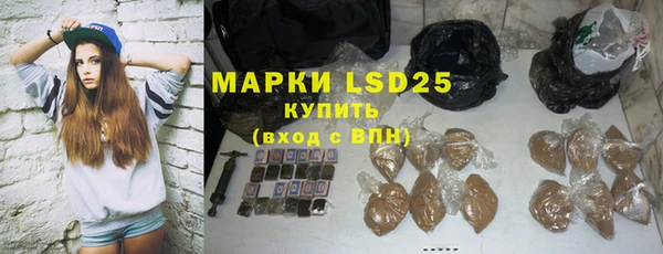 гашик Козловка
