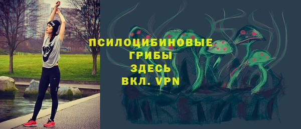твердый Киренск