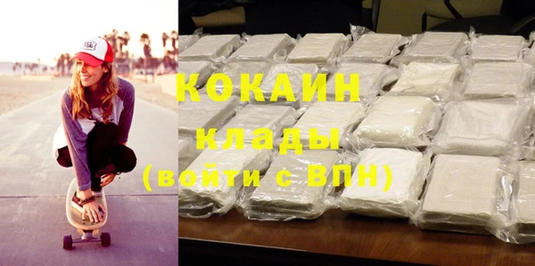 индика Кинешма